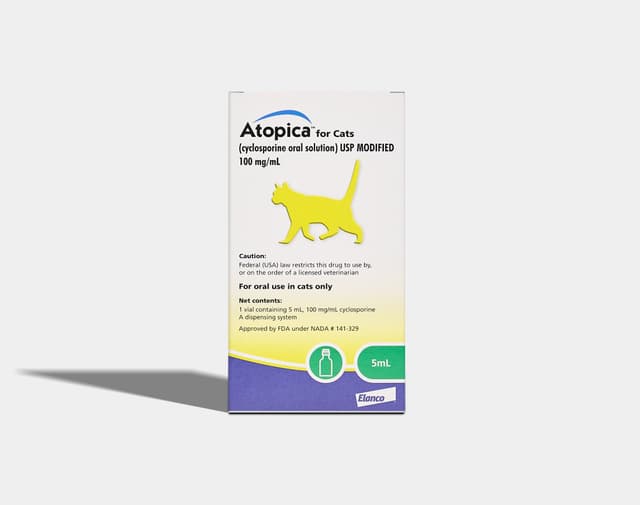 Immune Support