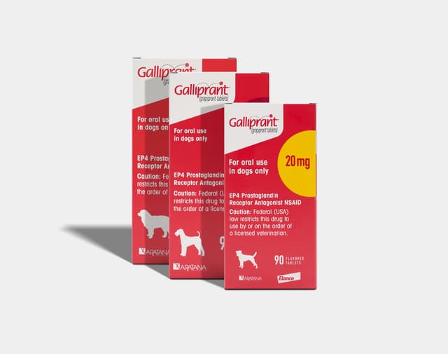 Arthritis, Pain & Joint Health