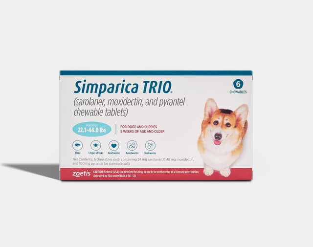 Flea & Tick